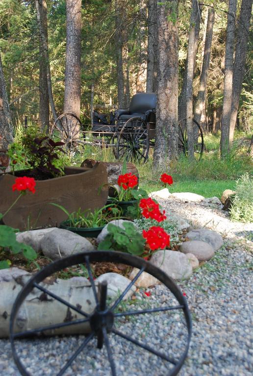 Kicking Horse Canyon Guest House Golden Extérieur photo